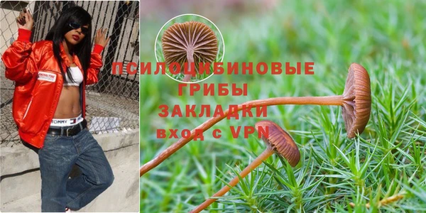 прущая мука Кукмор