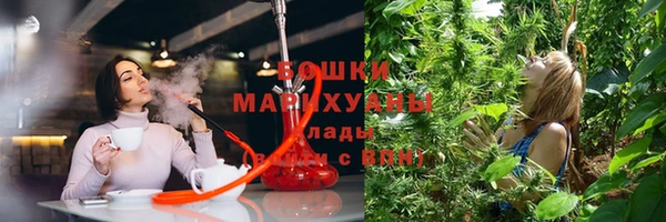 ешки Лиски