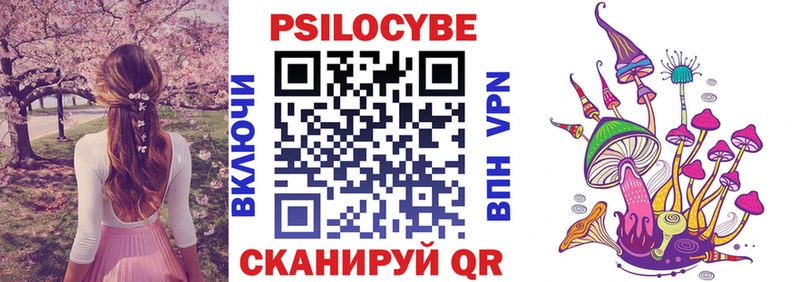 Купить закладки Кизел Галлюциногенные грибы Psilocybine cubensis